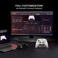 GameSir Cyclone 2 TMR Sticks , Hall Effect Trigger 2.4g Wireless  Controller Siyah Nintendo Switch, Windows PC,  Android ,Ios