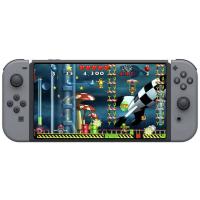 Super Putty Squad Nintendo Switch (Dijital İndirme Kodu)